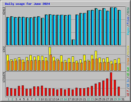 Daily usage for June 2024