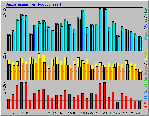 Daily usage for August 2024