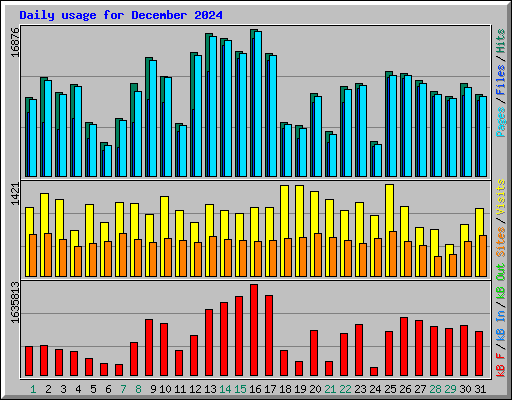 Daily usage for December 2024