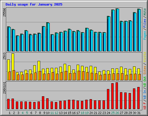 Daily usage for January 2025
