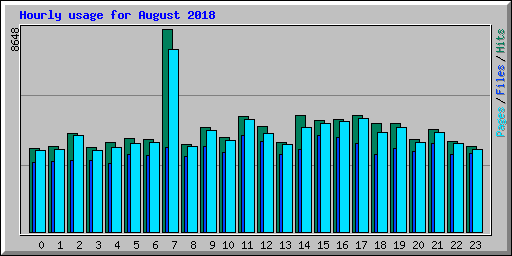 Hourly usage for August 2018