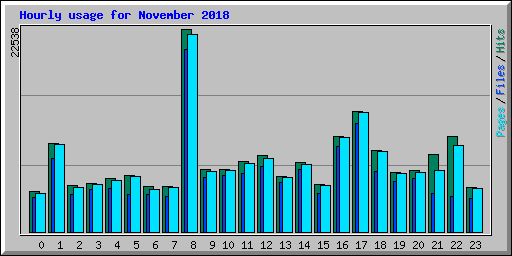 Hourly usage for November 2018