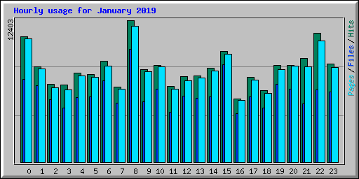 Hourly usage for January 2019