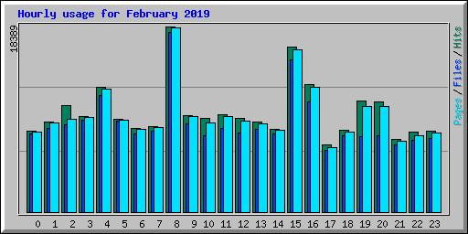 Hourly usage for February 2019