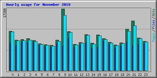 Hourly usage for November 2019