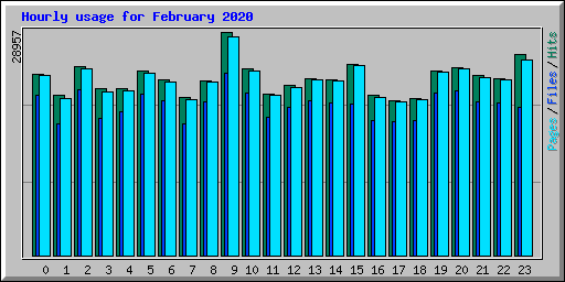 Hourly usage for February 2020