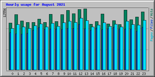 Hourly usage for August 2021