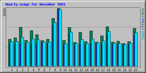 Hourly usage for December 2021