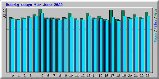 Hourly usage for June 2022