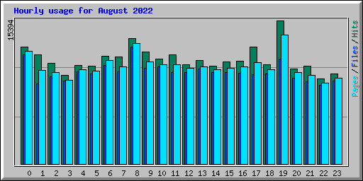 Hourly usage for August 2022