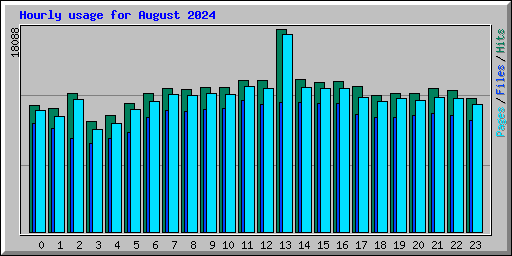 Hourly usage for August 2024