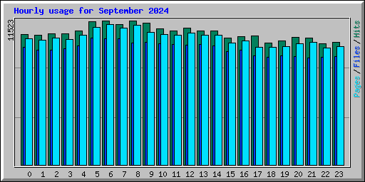 Hourly usage for September 2024