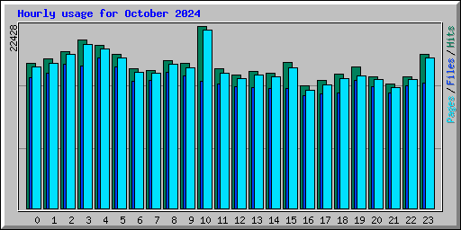 Hourly usage for October 2024