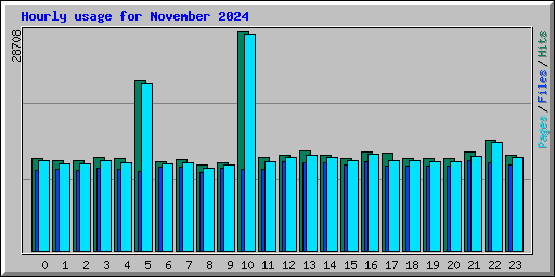 Hourly usage for November 2024