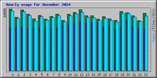 Hourly usage for December 2024