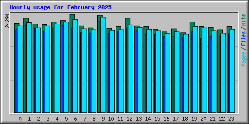 Hourly usage for February 2025