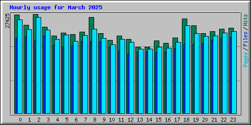 Hourly usage for March 2025