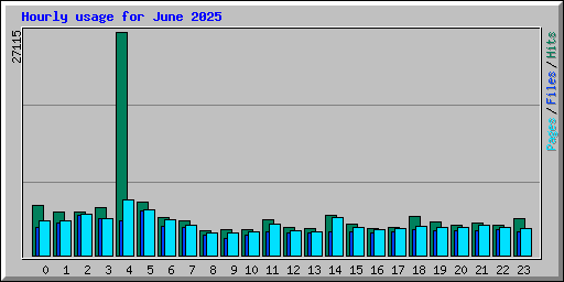 Hourly usage for June 2025