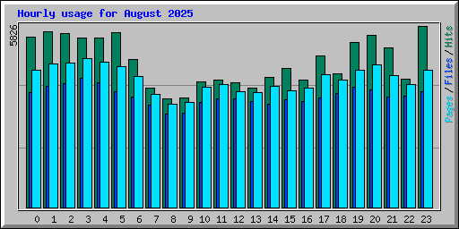 Hourly usage for August 2025